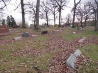 Chicago Ghost Hunters Group investigates Archer Woods Cemetery (20).JPG